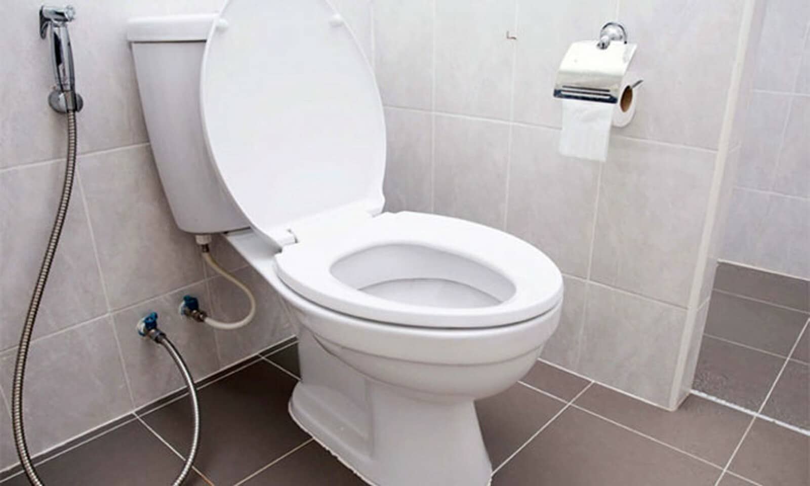 Anstatt es in einen Topf zu geben, werfen Sie es vor dem Schlafengehen in die Toilette. Es wirkt gegen Gerüche, Kalkablagerungen und Flecken.