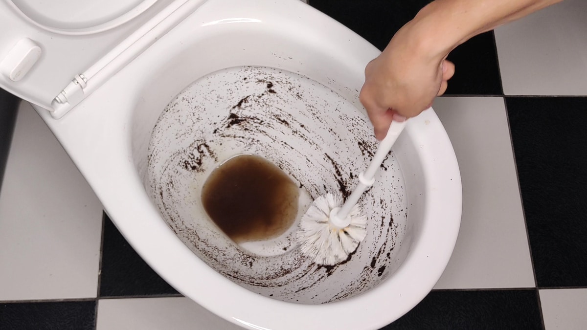 Ein Löffel reicht: Warum man Kaffeesatz in die Toilette schütten sollte
